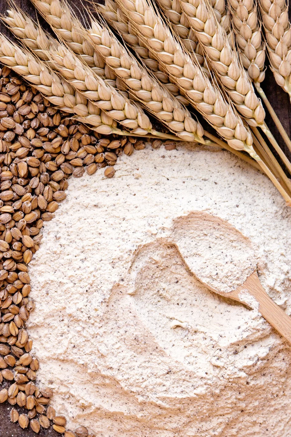 Spighe di grano, chicchi e farina